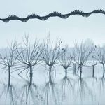 Patrick Litton - @eminentissimo - Instagram
