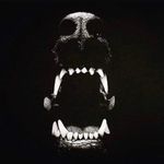 Sean Patrick Lobdell - @seanpatricklobdell - Instagram