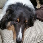 Patrick Loftus - @dipal4 - Instagram