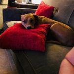 Patrick Logan - @patricklogan24 - Instagram