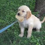 Patrick Mark Logsdon - @patrick.logsdon - Instagram