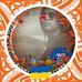 Pat Longstreet - Facebook