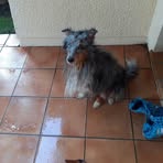 Patrick Lormand - Facebook