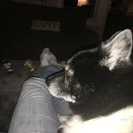 patrick - @patrick_loughridge - Instagram