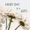 Patrick Lovelace Amewode - @patrick.lovelace - TikTok