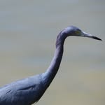 Patrick Lowder - @lowder_photography - Instagram
