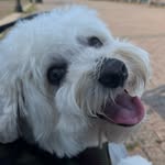 Patrick Lumbres - @lumbrespatrick - Instagram