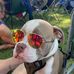 Pat Lund - Facebook