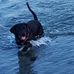 Patrick Lundh - Facebook