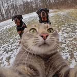 Patrick lustig - @feldaber - Instagram