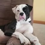 Patrick Luttrell - @patrickluttrell - Instagram