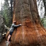 Patrick Lyle - @patricklearns - Instagram