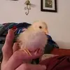 Patrick Lyle - @patrick.lyle5 - TikTok