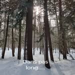 Patrick Dupont - @patricklyne13 - Instagram