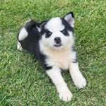 Patrick Lyness - @patlyness - Instagram