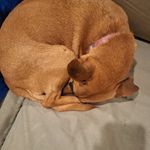 Patrick mabry - @duggeo1ins1 - Instagram