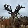 patrick_mackay - @patrick_mackay - TikTok