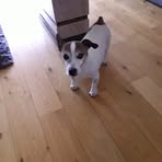 Patrick Maddock - Facebook