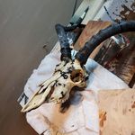 Patrick Maddock - @pmadd45 - Instagram