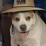 Patrick Maddox - @antione25362018 - Instagram