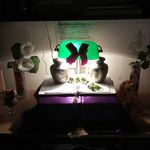 patrick maddox - @patmaddox8113 - Instagram