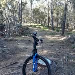 Patrick magner - @patrickmagner_ - Instagram