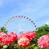 Patrick Mak - @30779224449 - TikTok