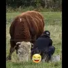Patrick Maki - @patrick.maki - TikTok