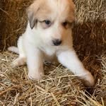 Patrick Maley - @patrick_maley - Instagram