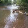 patrickmaples - @pmapes7o2 - TikTok