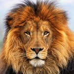 Patrick Maraño - @patrick.marano.5 - Instagram
