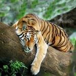 Patrick Marchand - @patrick.lemieuxmarchand - Instagram