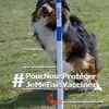 Patrick Marchand - @patrick.marchand - TikTok