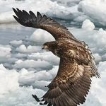Patrick Marchand - @patrick.marchand.96199344 - Instagram