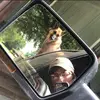 user907539116993 - @patrick.marchand100 - TikTok
