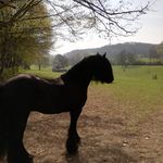 patrick marcilly - @patrickmarcilly - Instagram