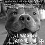 Patrick Marcoux - Facebook