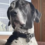 Patrick Marcoux - @patrick.marcoux.7587 - Instagram