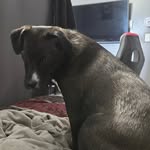 patrick marsden - @patrickmarsden299 - Instagram