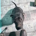 Patrick Martinez - @_patrick_martinez_ - Instagram