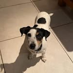 Patrick marty - @patrickmar16 - Instagram