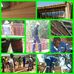 Patrick Mathe - Facebook