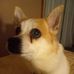 Patrick Mathews - Facebook