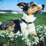 Léo William - @patrickmawusi - Instagram