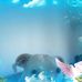Patrick Mayes - Facebook