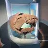 patrickmayes579 - @patrickmayes579 - TikTok