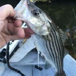 Patrick Mays - @patrick.mays.986227 - Instagram