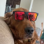 Gabriel Patrick McAlister - @just_gabe77 - Instagram