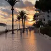P•J😎 - @patrick.mcalister.14 - TikTok