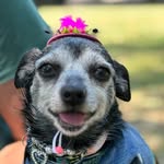 Patrick McAuliffe - @pdmcauliffe - Instagram